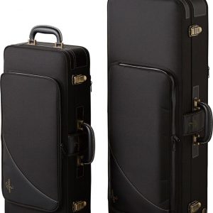 Saxophone Ténor YANAGISAWA T-WO1 étui