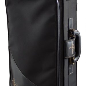 Saxophone alto YANAGISAWA ELITE étui